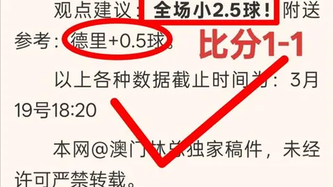 2025年歐洲U20錦標賽超級陣容：貝林厄姆帶領，佩德裏加維亦在列