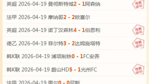Steam游戏推荐：专为整理收藏爱好者设计